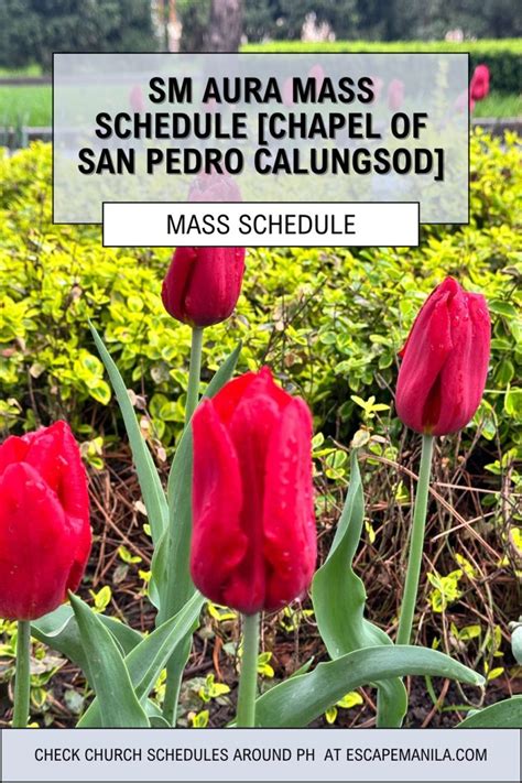 pedro calungsod chapel sm aura|SM Aura Chapel mass schedule .
